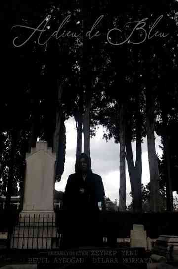 Adieu de bleu poster