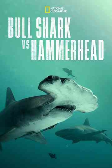Bull Shark vs. Hammerhead Poster