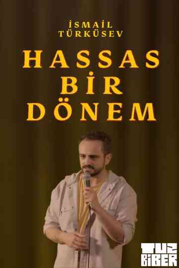 Hassas Bir Dönem - İsmail Türküsev Poster