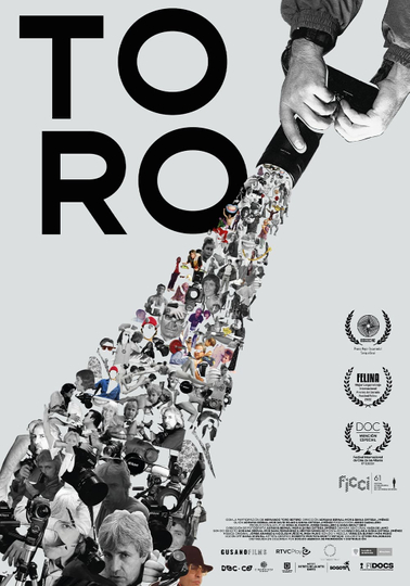 Toro Poster