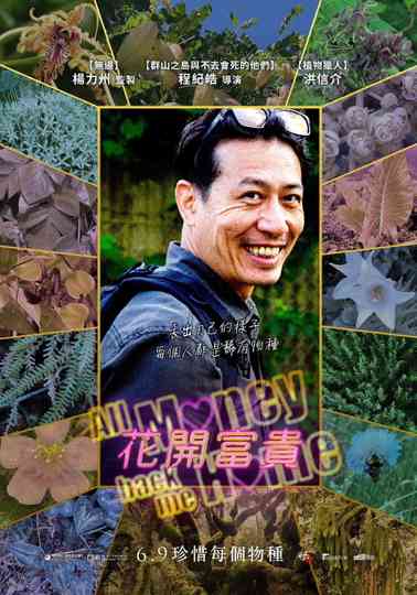 All Money Back Me Home Poster