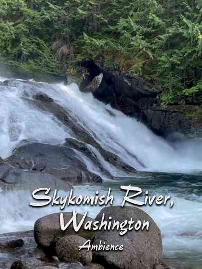 Skykomish River Ambience Poster
