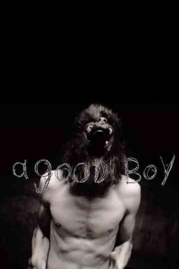 a good boy Poster