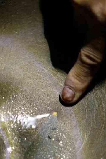 For What It's Worth Poster