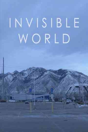 Invisible World Poster