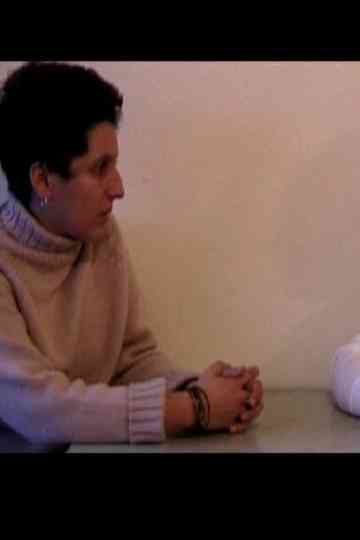 Retelling Histories Poster