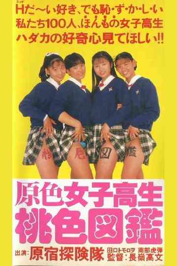 Primary Colour High School Girl Pink Picture Book Poster