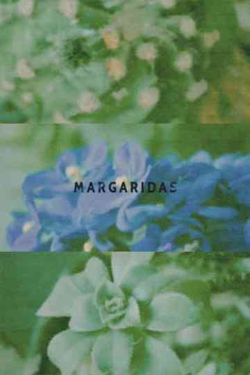 Margaridas Poster
