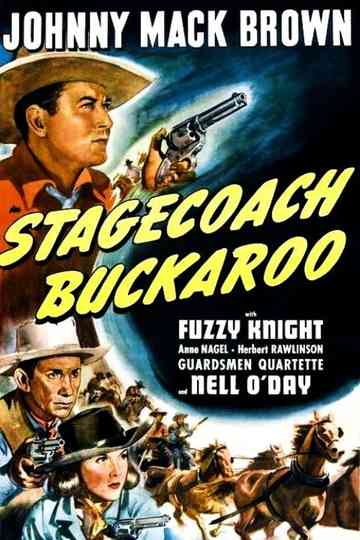 Stagecoach Buckaroo Poster