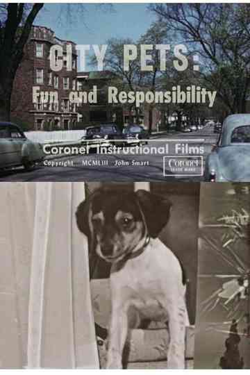 City Pets: Fun and Responsibility Poster