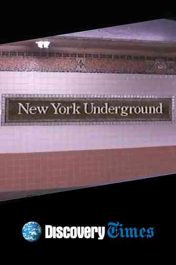 New York Underground Poster