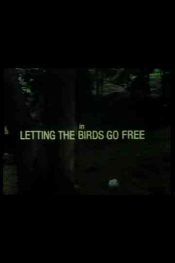 Letting the Birds Go Free Poster