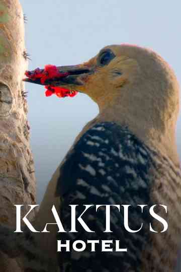 Kaktus Hotel Poster