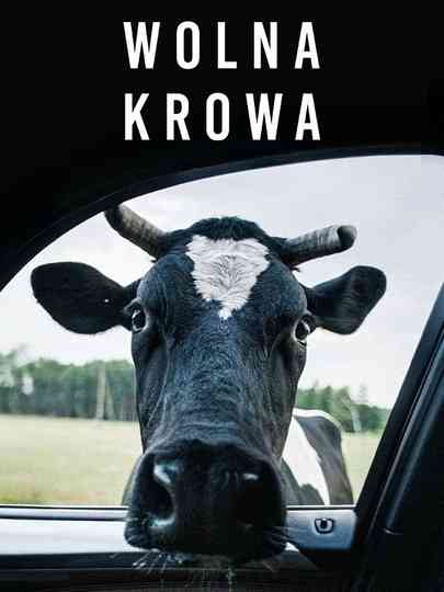Free Cow Poster