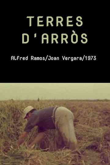 Terres d'arròs Poster