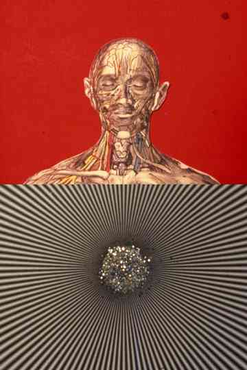 El mensaje es facial Poster