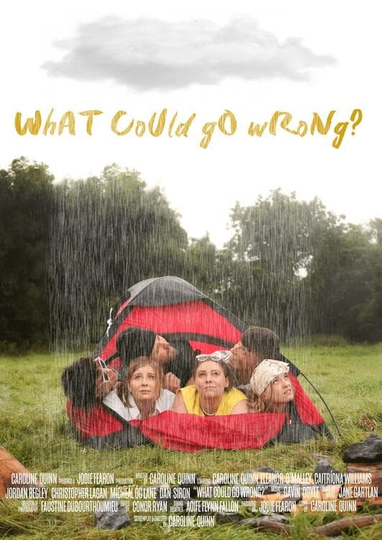 What Could Go Wrong? Poster