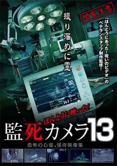 Paranormal Surveillance Camera 13 Poster