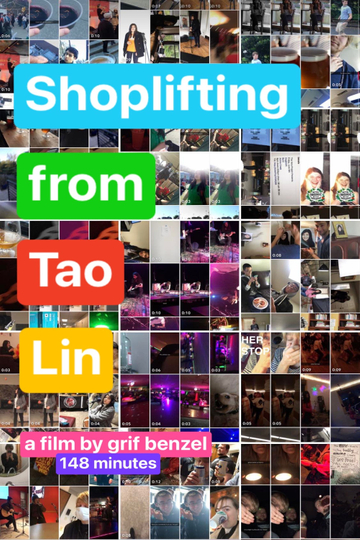 Shoplifting from Tao Lin Poster