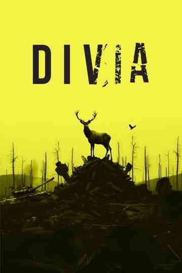 Divia Poster