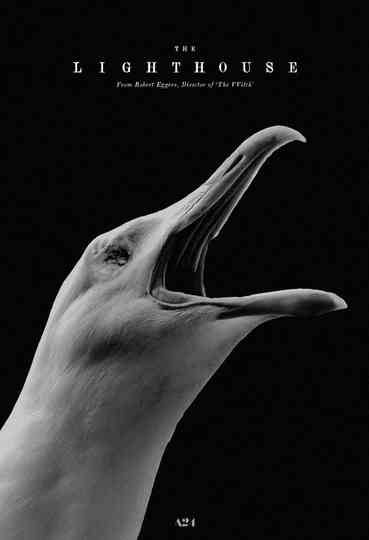 The Lighthouse Next Door Poster