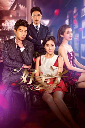 Good Wife Poster