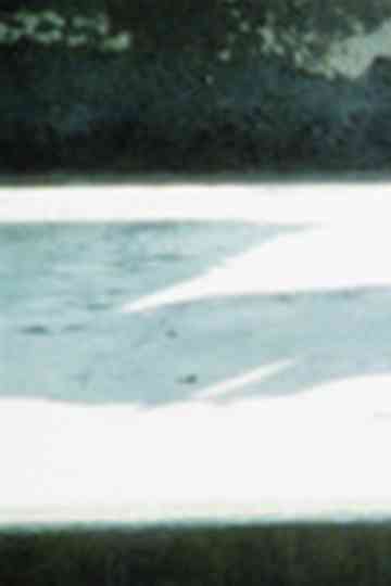 Costa de Lavos Poster