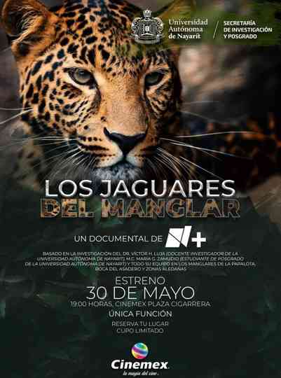 Los Jaguares del Manglar Poster