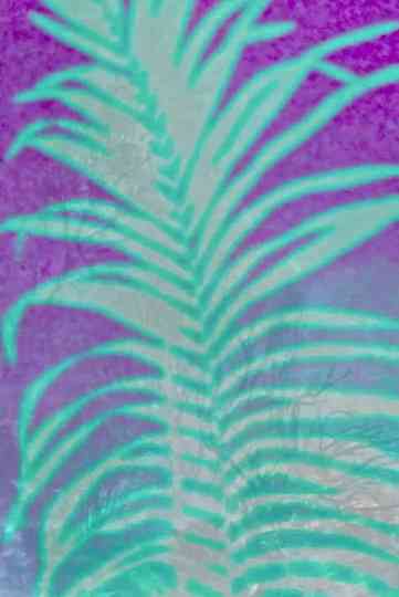 EVANESCENT NSW Poster