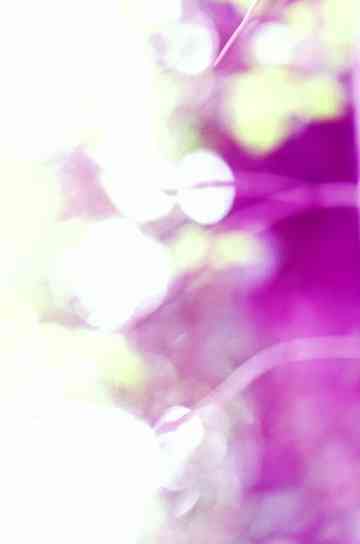 Gestures Toward Plant Vision Poster