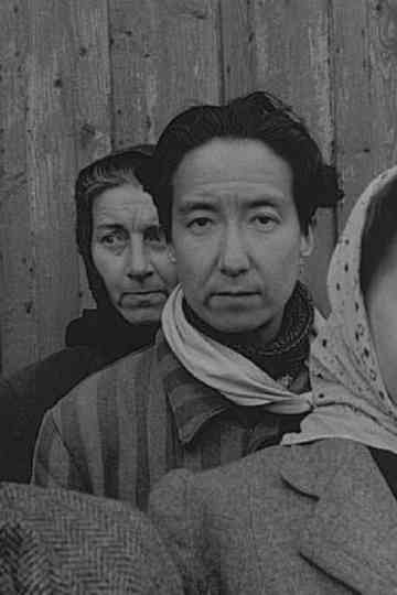 Vittnesbördet Poster