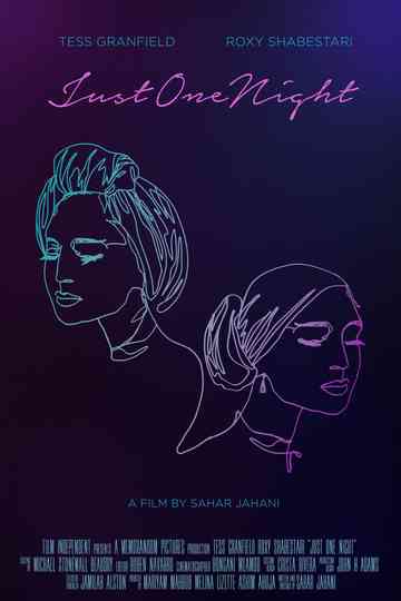 Just One Night Poster