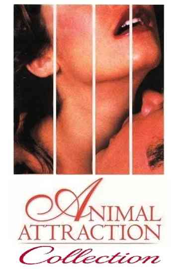 Animal Attraction Collection Poster