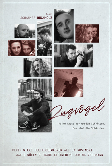 Zugvögel Poster