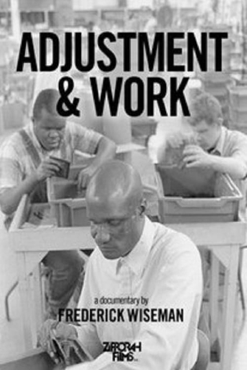 Adjustment  Work