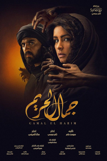 Gamal El Hareem Poster