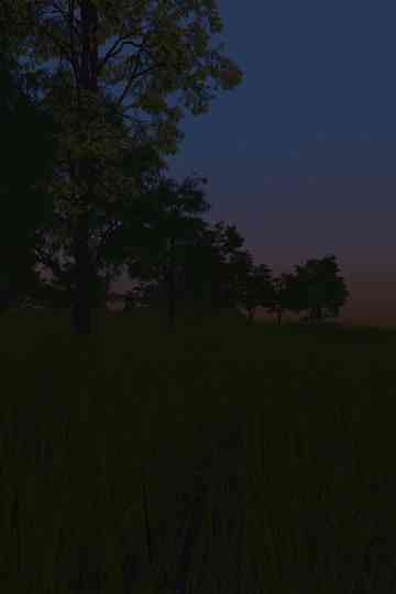 For all the magic hidden in this world Poster