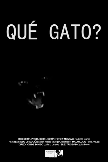 Qué gato? Poster