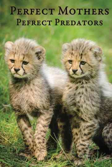 Perfect Mothers, Perfect Predators Poster