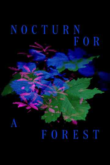 Nocturne for a Forest Poster