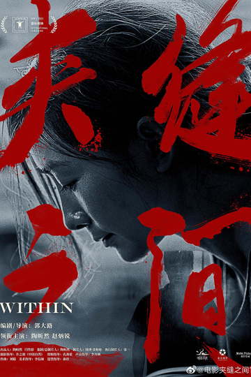 Within Poster