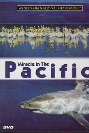 Miracle in the Pacific