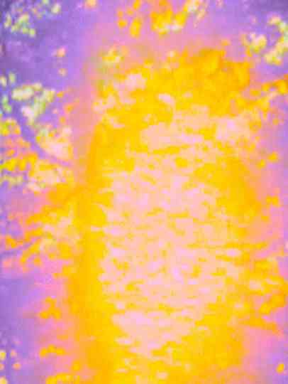 Waking a Dream Poster