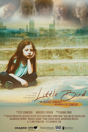 Little Bird Poster