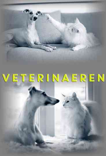 Veterinærene Poster