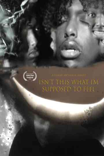 Isn't This What I'm Supposed To Feel Poster