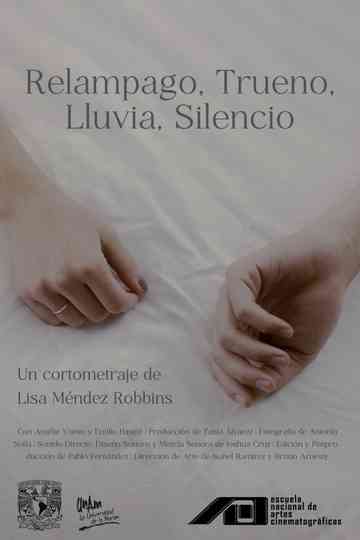 Silence After Storm Poster