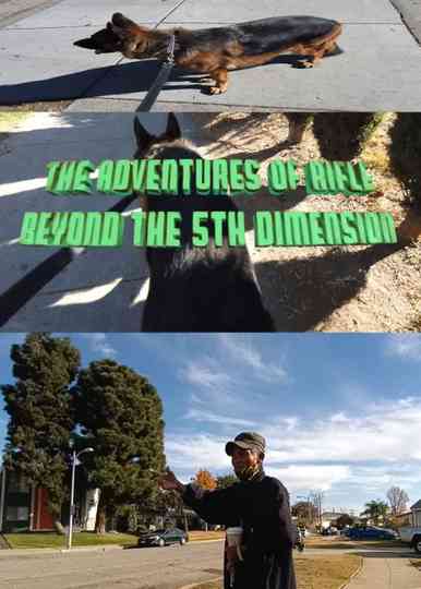 Adventures of Rifle Beyond the 5th Dimension Poster