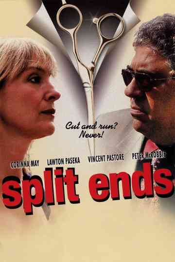 Split Ends Poster