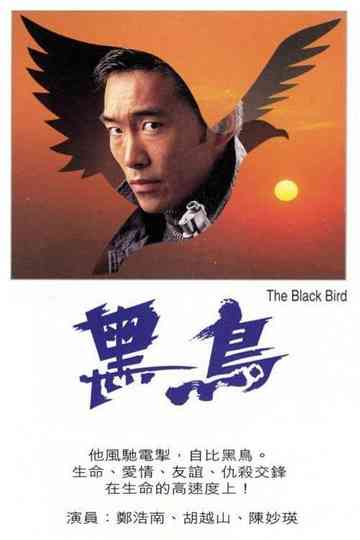 The Black Bird Poster